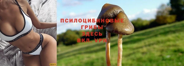 гашик Лихославль
