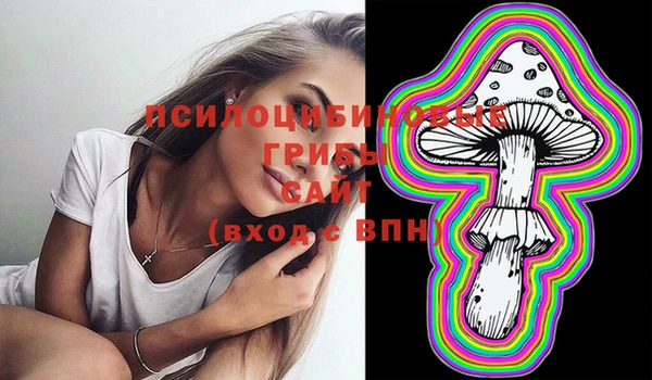 спиды Лиски