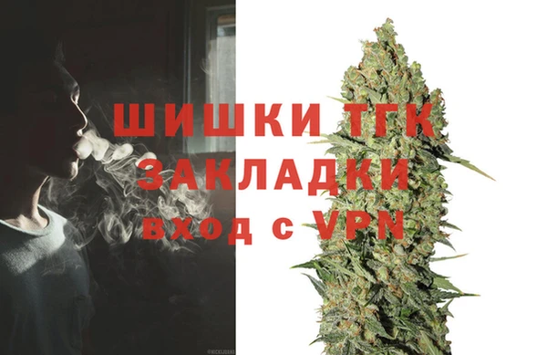 спиды Лиски