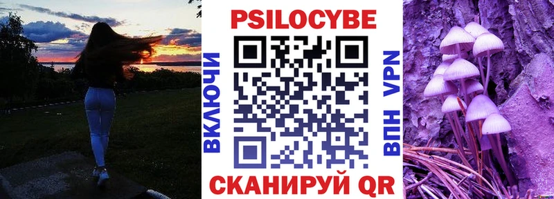 купить   Мичуринск  кракен онион  Галлюциногенные грибы Psilocybine cubensis 